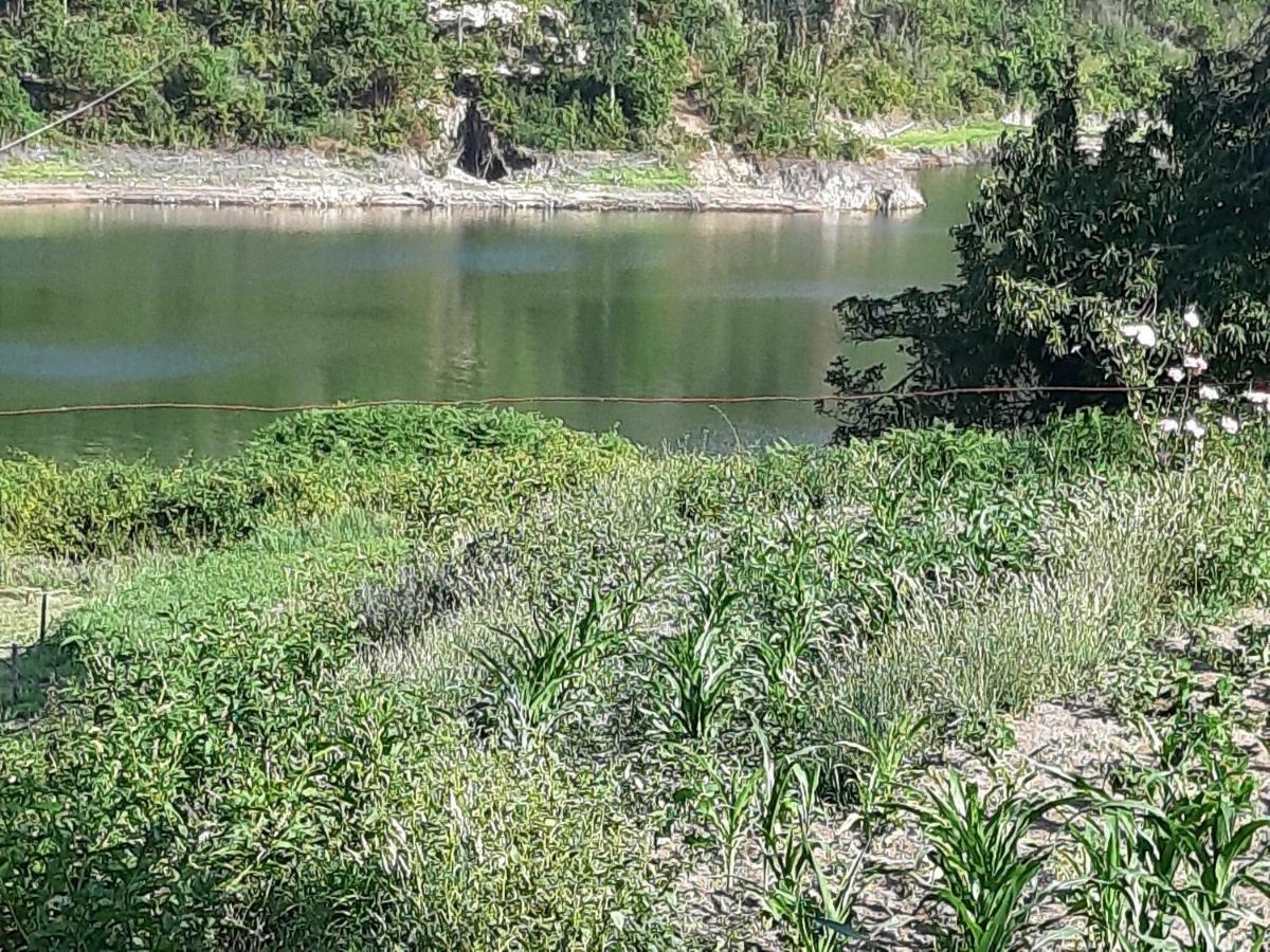 Oliveira de Frades River House Sejaes מראה חיצוני תמונה